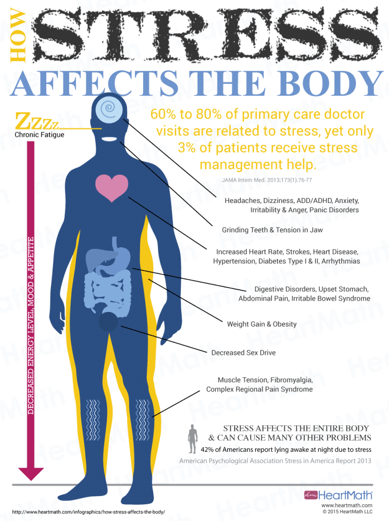 Understanding the Link Between Stress and the Body